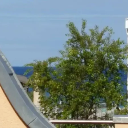 Stella Fiante * Juliusruh